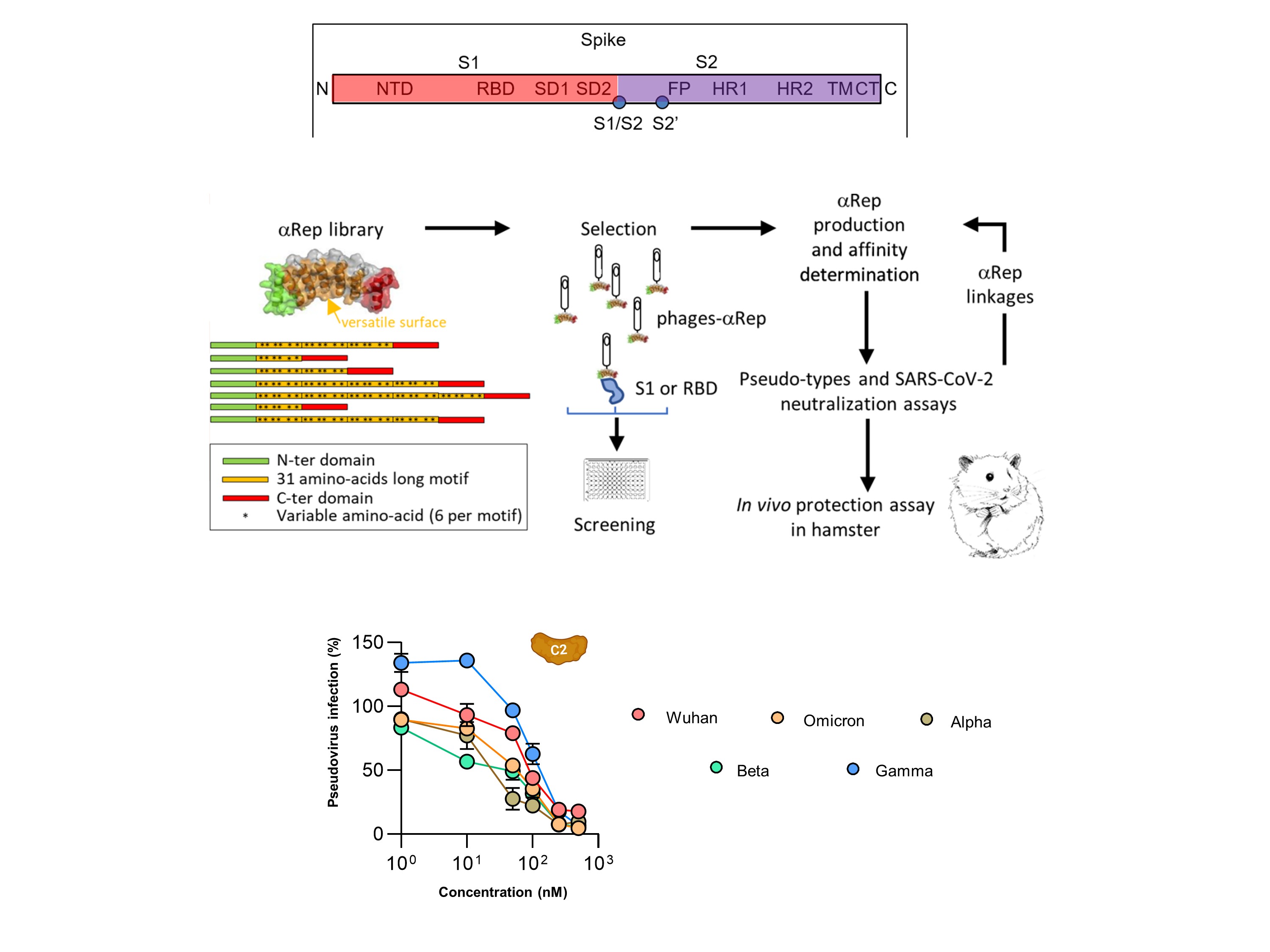 2025 12 AlphaRep Screen.jpg 2025 12 AlphaRep Screen.jpg