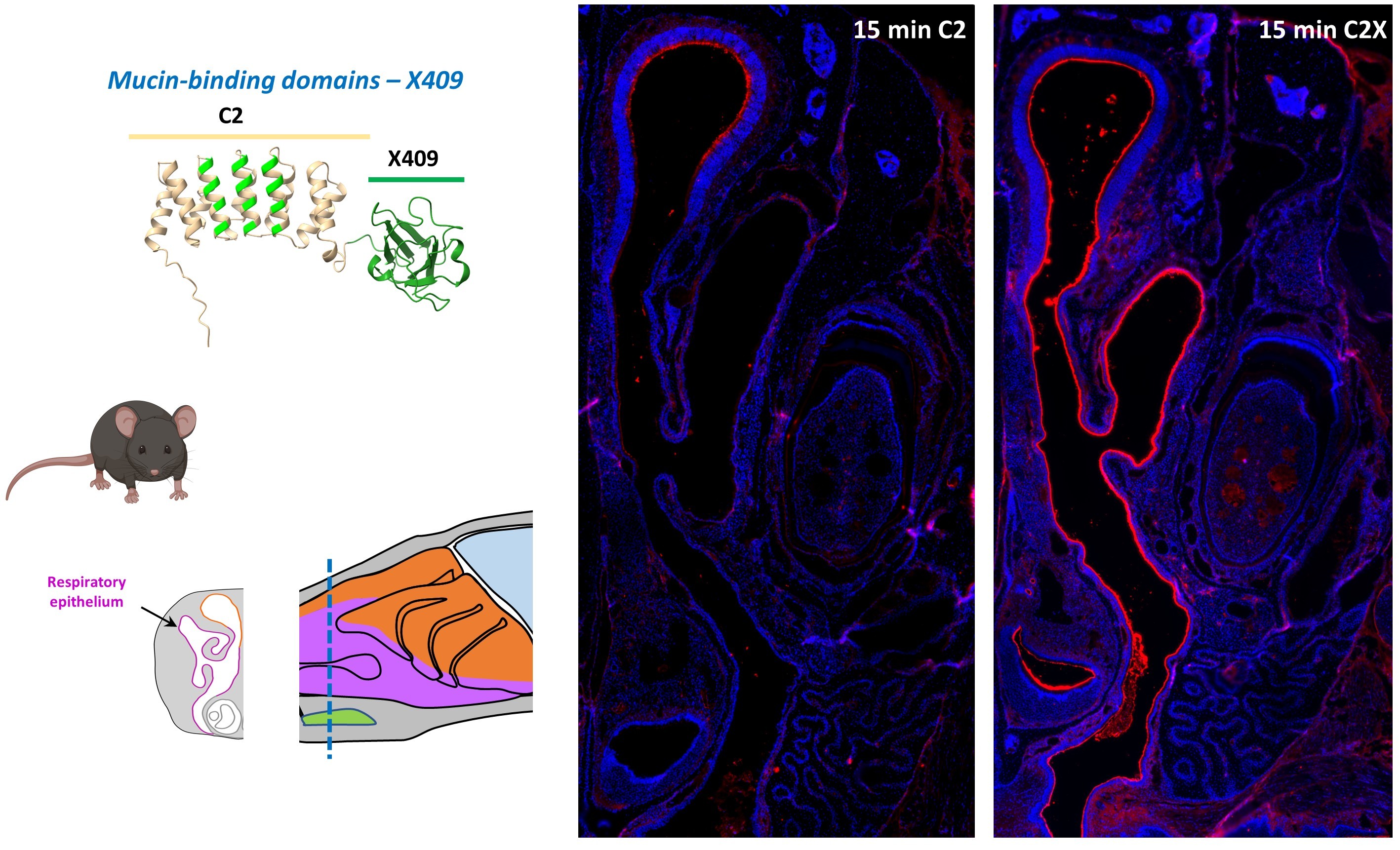 2025 Resident time.jpg 2025 Resident time.jpg