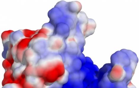“Tailor-made” antiviral compounds to fight influenza A