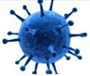 Pseudorabies virus